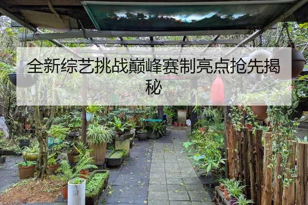 全新综艺挑战巅峰赛制亮点抢先揭秘