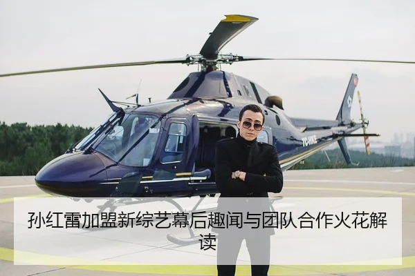 sun-hong-lei-jia-meng-xin-zong-yi-mu-hou-qu-wen-yu-tuan-dui-he-zuo-huo-hua-jie-du-2-479.jpg