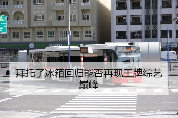 拜托了冰箱回归能否再现王牌综艺巅峰